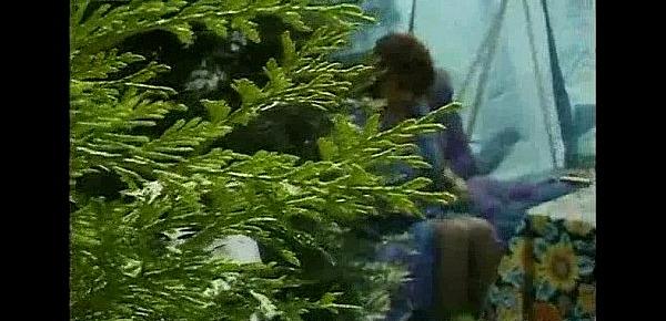  Peeping Tom Spots a Big Bush in the Garden